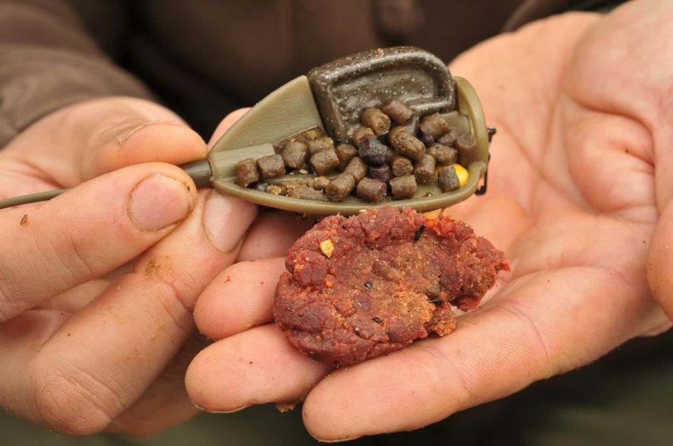 KORDA - 954666456219667800443909066020n.jpg